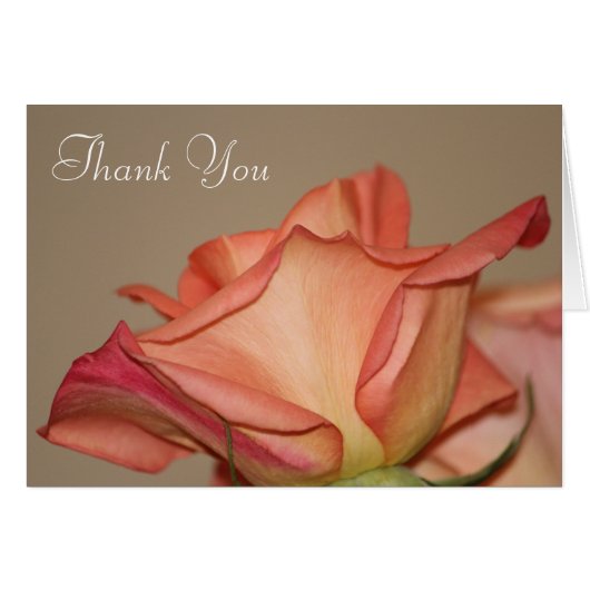 Stilvolle Rose Peach (Vorderseite (Horizontal))