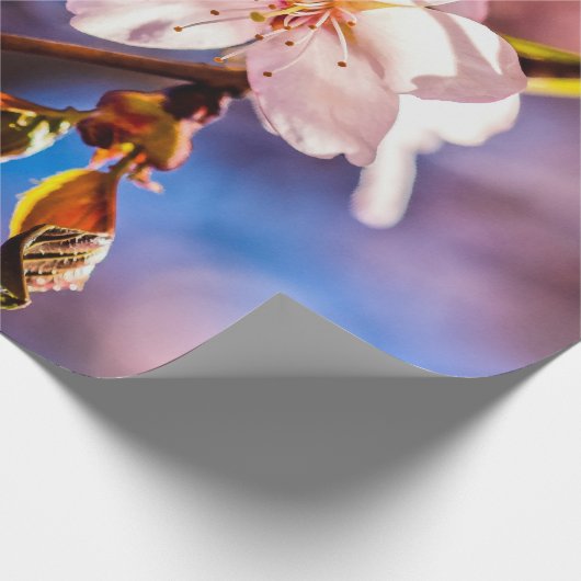 Stilvolle Sakura-Blüten Geschenkpapier (Ecke)