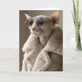 Stilvolle Sphynx-Katze in Sonnenbrille und Sherpa- Einladung (Vorderseite)