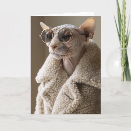 Stilvolle Sphynx-Katze in Sonnenbrille und Sherpa- Einladung (Vorderseite)
