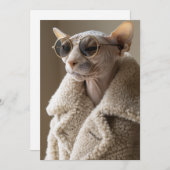 Stilvolle Sphynx-Katze in Sonnenbrille und Sherpa- Einladung (Vorne/Hinten)