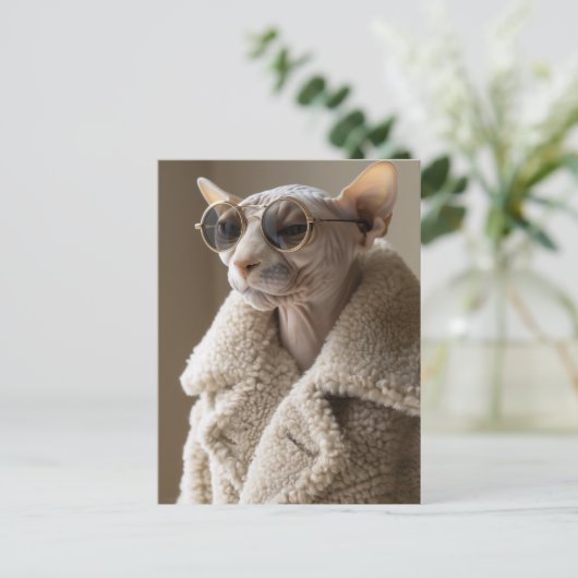 Stilvolle Sphynx-Katze in Sonnenbrille und Sherpa- Postkarte (Stehend Vorderseite)