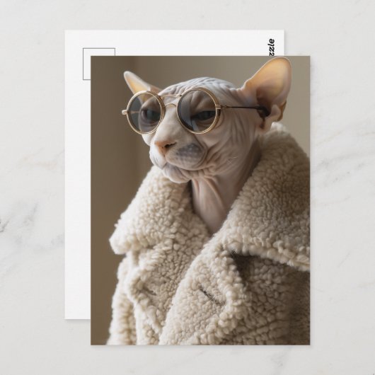 Stilvolle Sphynx-Katze in Sonnenbrille und Sherpa- Postkarte (Vorne/Hinten)