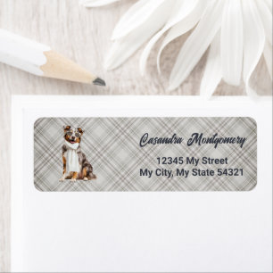 Stilvoller Australian Shepherd Hund Karo Address