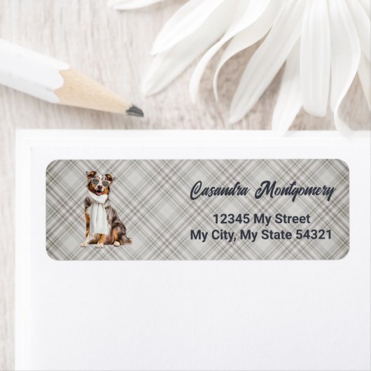 Stilvoller Australian Shepherd Hund Karo Address (Insitu)