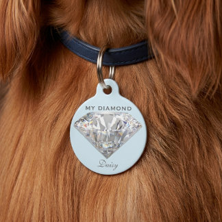 Stilvoller Diamantenschmuck Personalisierter runde Haustiermarke