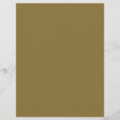 Stilvoller Flyer für Musikinstrumente (Hinten)