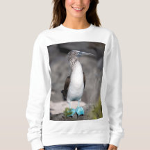 Stilvoller T - Shirt - Perfekt für die alltägliche