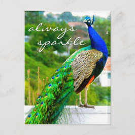 Stilvolles Blue Green Peacock Foto immer Sparkle Postkarte