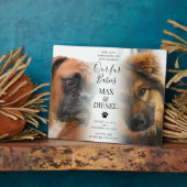 Stilvolles Foto für Haustiere 2 Hunde Fotoplatte (Seite)