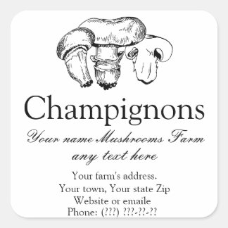 Stilvolles, handgezeichnetes Champignons-Pilze-Auf Quadratischer Aufkleber
