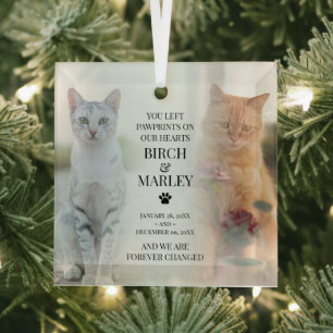 Stilvolles Haustier-Gedenkfoto für 2 Katzen Ornament Aus Glas