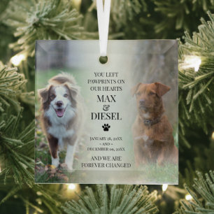 Stilvolles Haustier-Gedenkstück 2 Hunde-Foto Ornament Aus Glas