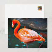 Stilvolles Pink Flamingo Foto Inspirierte Moderne  Postkarte (Vorne/Hinten)