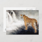 Stimme des Tigers Postkarte (Vorne/Hinten)