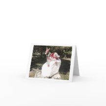 Stimme! - Wahltag 5. November