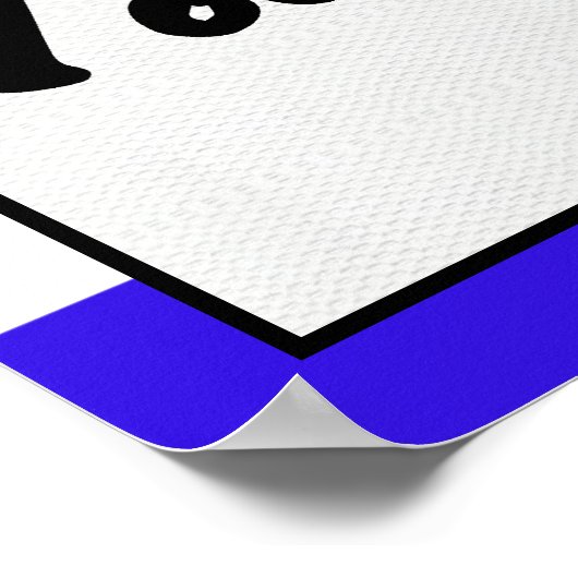 STIMMEN POSTER (Ecke)