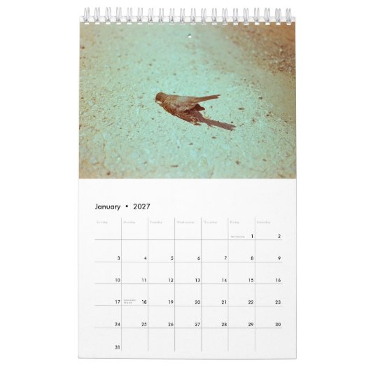 Stimmung: 2019 kalender (Jan 2027)