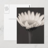 Stimmung Postkarte (Vorne/Hinten)