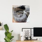 Stimson-Python Poster (Heimbüro)