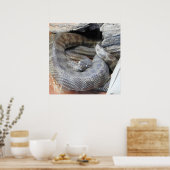 Stimson-Python Poster (Küche)