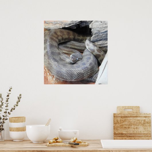 Stimson-Python Poster (Küche)