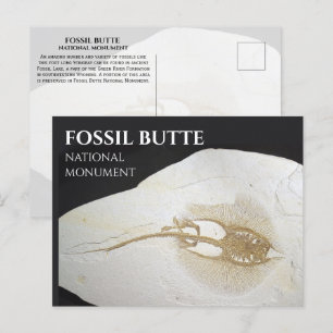 Sting Ray Fossil, Fossil Butte National Monument Postkarte