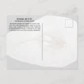 Sting Ray Fossil, Fossil Butte National Monument Postkarte (Rückseite)