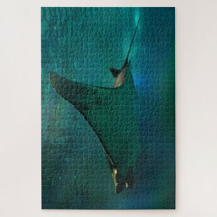 Sting Ray in einem Aquarium. Puzzle