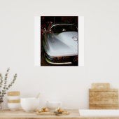 Sting Ray Poster (Küche)