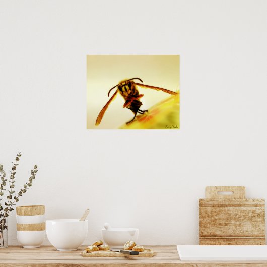 Stinger 12 poster (Küche)