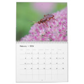 Stingers! Ein Kalender für Bienen und Abfälle (Feb 2026)