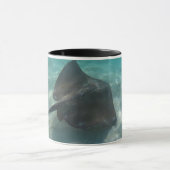 STINGRAFIE TASSE (Zentrum)