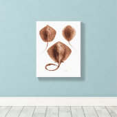 Stingray #1 Wrapped Canvas Wall Art Leinwanddruck (Insitu (Holzboden))