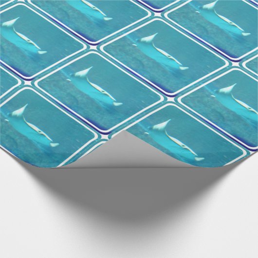 stingray-24.jpg geschenkpapier (Ecke)