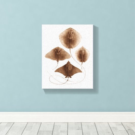 Stingray #2 Wrapped Canvas Wall Art Leinwanddruck (Insitu (Holzboden))