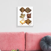 Stingray #3 Wrapped Canvas Art Leinwanddruck (Insitu (Wohnzimmer))