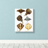 Stingray #4 Wrapped Canvas Wall Decke Leinwanddruck (Insitu (Holzboden))