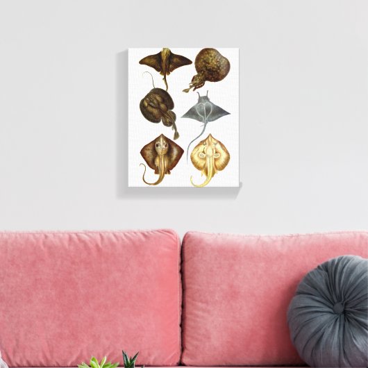 Stingray #4 Wrapped Canvas Wall Decke Leinwanddruck (Insitu (Wohnzimmer))