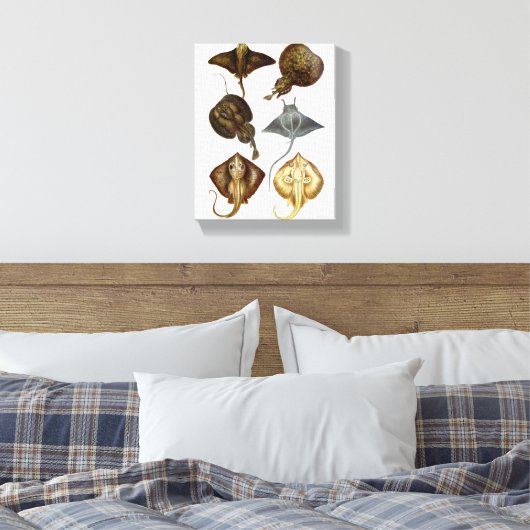 Stingray #4 Wrapped Canvas Wall Decke Leinwanddruck (Insitu (Schlafzimmer))
