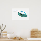 Stingray - Abstraktes Design - Aus einem Foto schn Poster (Küche)