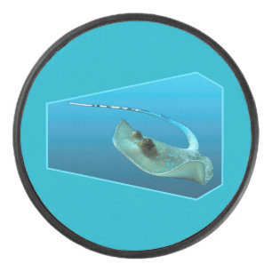 Stingray bewegt! Designgradientenblau Eishockey Puck