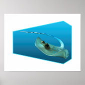 Stingray bewegt! Designgradientenblau | Poster (Vorne)