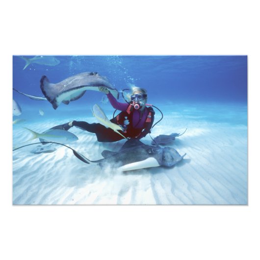 Stingray City, Grand Cayman, Cayman Islands, Fotodruck (Vorne)