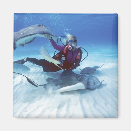 Stingray City, Grand Cayman, Cayman Islands, Magnet (Vorne)