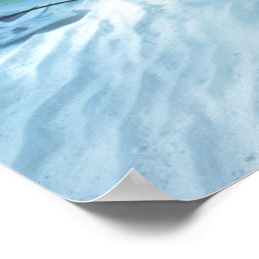 Stingray City, Grand Cayman, Cayman Islands, Poster (Ecke)