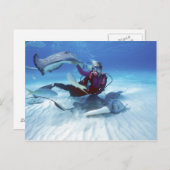 Stingray City, Grand Cayman, Cayman Islands, Postkarte (Vorne/Hinten)
