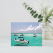Stingray City Grand Cayman Islands Postcard Postkarte (Stehend Vorderseite)