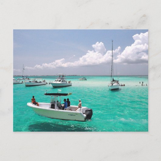 Stingray City Grand Cayman Islands Postcard Postkarte (Vorderseite)