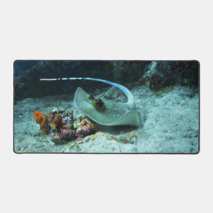 Stingray in move - Foto aufgenommen im Coral Trian Schreibtischunterlage
